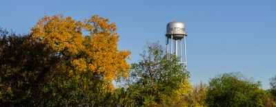 Photo of old water tower behind trees