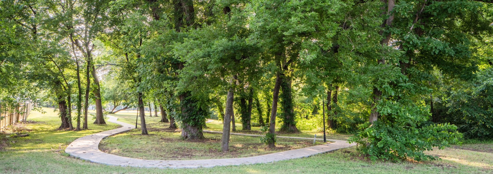 Photo of trees and walking path at Sunrise Creek Park