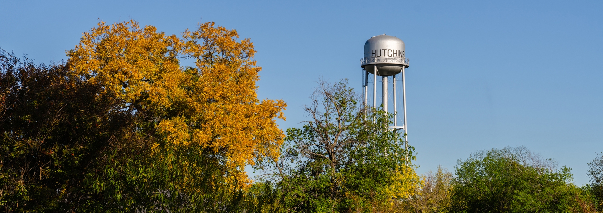 Photo of old water tower behind trees